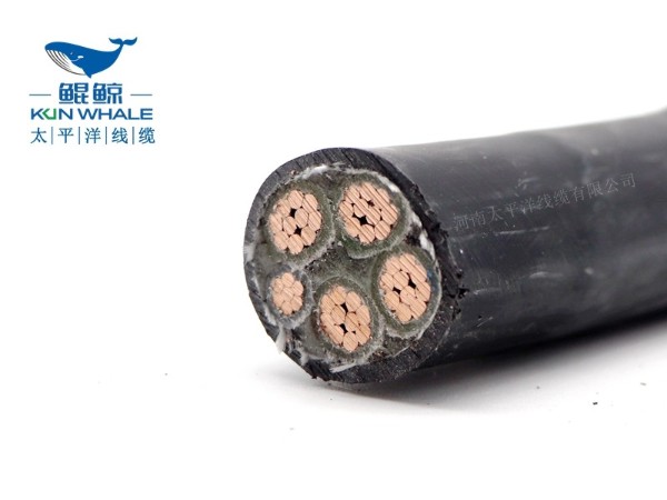 低煙無鹵電纜應用在哪些場所你知道嗎？
