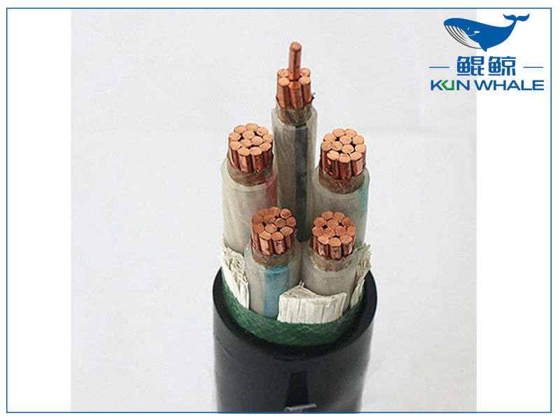 鄭州電纜廠帶你了解wdz—yje是什么電纜？