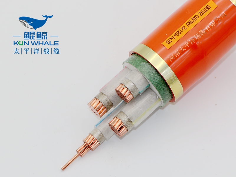 電線(xiàn)電纜廠(chǎng)家淺談什么叫BTTRZ電纜YTTW電纜型號(hào)是什么？